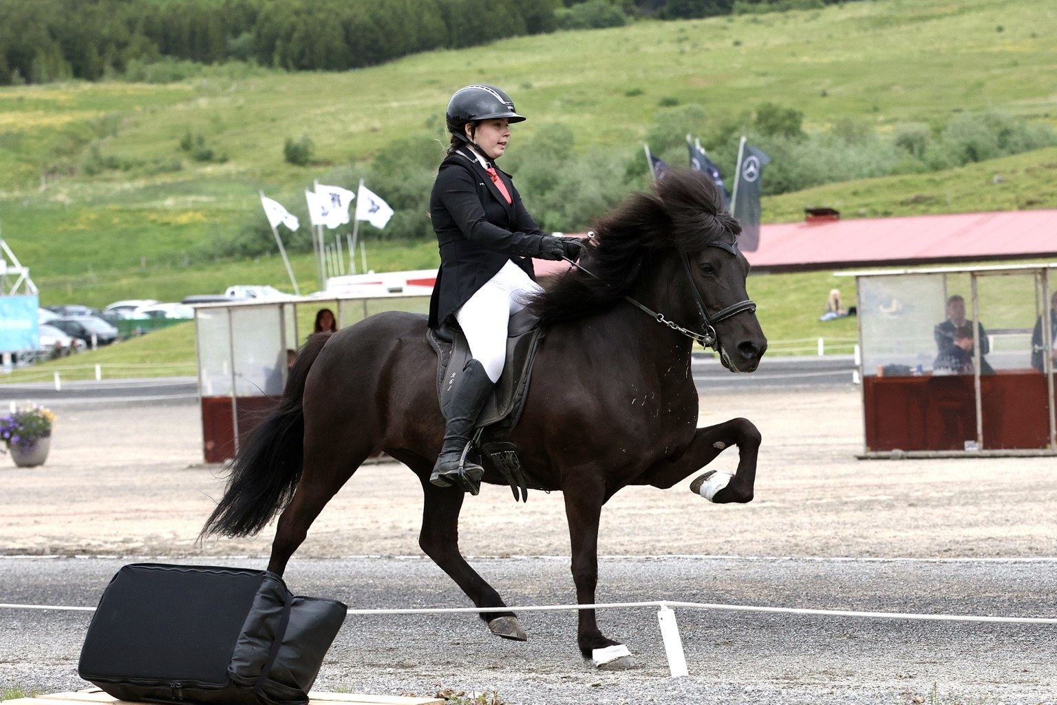 Saga frá Dalsholti og Bryanna á keppni